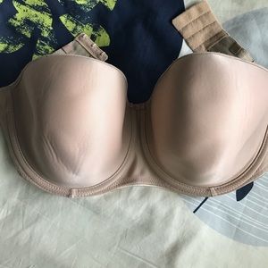 Fantasie strapless bra size 34E